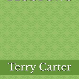 Hebrews: Jesus is Better Paperback Book